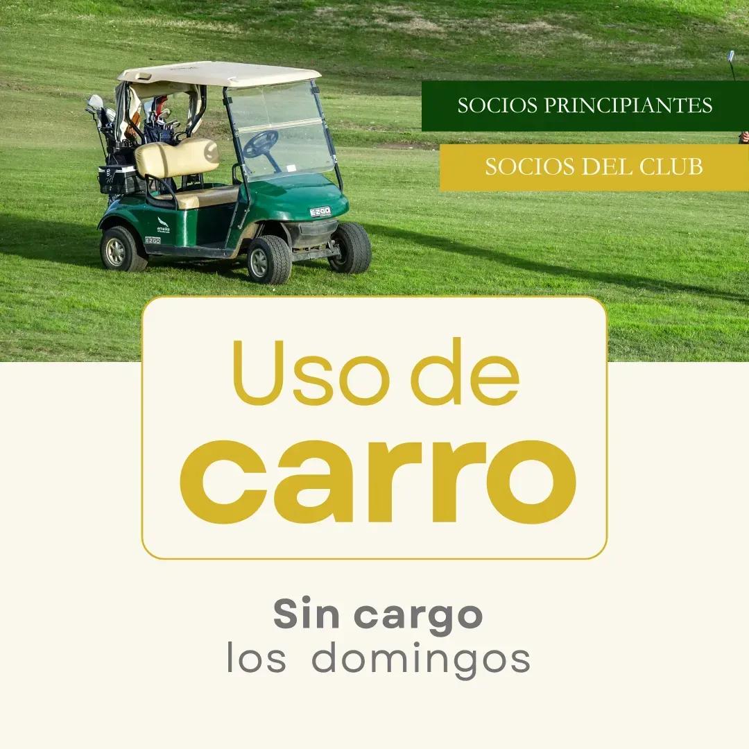 Uso_de_carro_sin_cargo