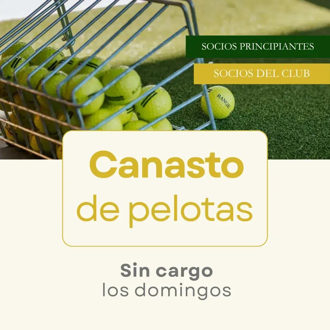 Guarda_de_palos